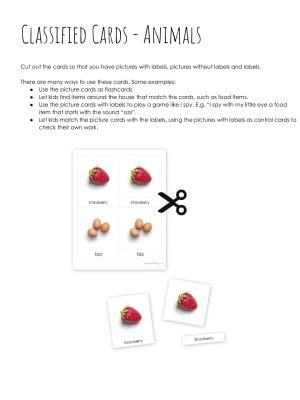 Cards – Animals